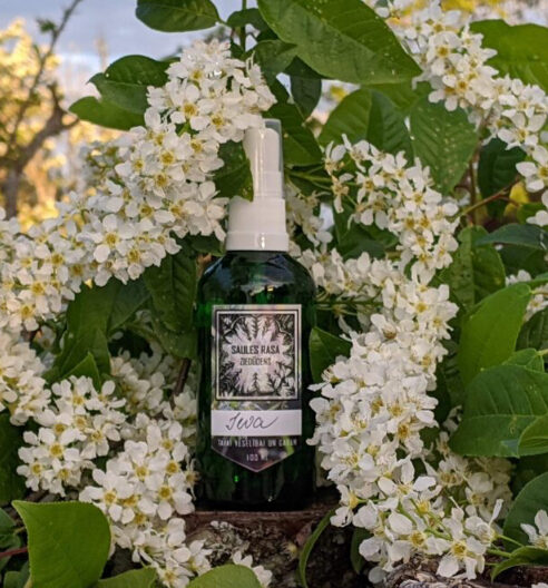 Ievas ziedūdens 100 ml