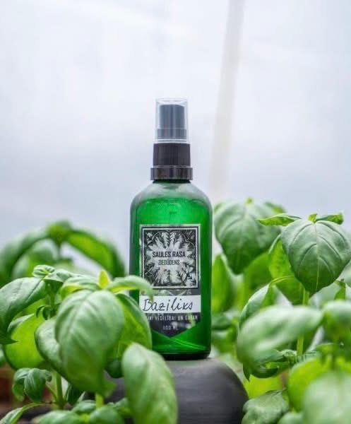 Bazilika hidrolāts 50 ml