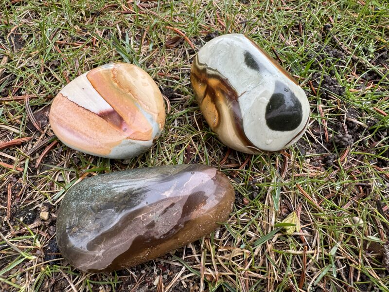 Madagaskaras jašma