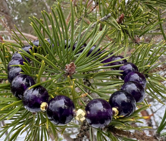 Ametista rota tumši violeta 10 mm ar zelta krāsas hematītu