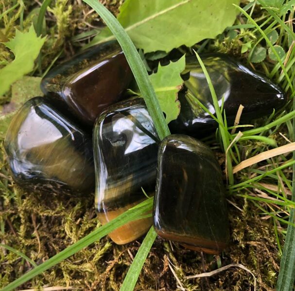 Tīģeracs pulēts